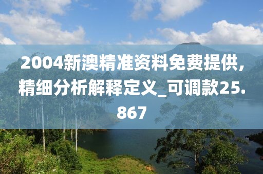 2004新澳精准资料免费提供,精细分析解释定义_可调款25.867