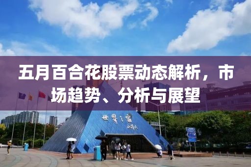 五月百合花股票动态解析，市场趋势、分析与展望
