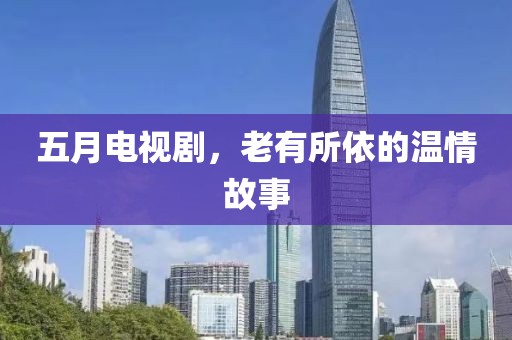 五月电视剧，老有所依的温情故事
