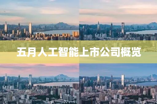 五月人工智能上市公司概览