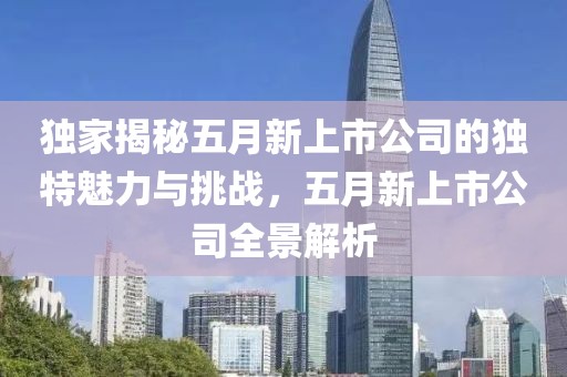 独家揭秘五月新上市公司的独特魅力与挑战，五月新上市公司全景解析