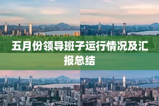 五月份领导班子运行情况及汇报总结