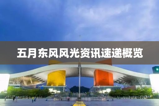 五月东风风光资讯速递概览
