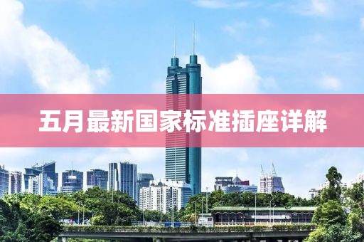 五月最新国家标准插座详解
