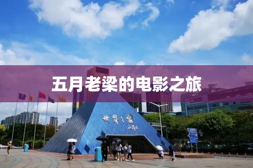 五月老梁的电影之旅