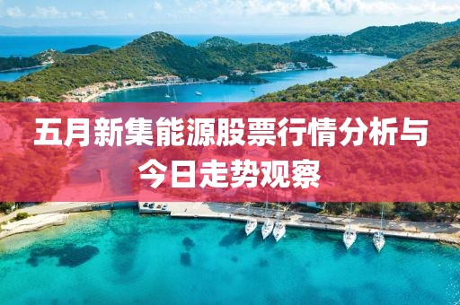 五月新集能源股票行情分析与今日走势观察