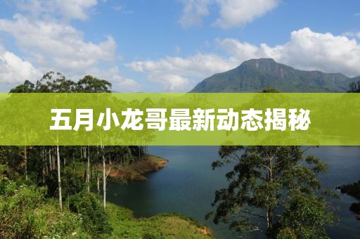五月小龙哥最新动态揭秘