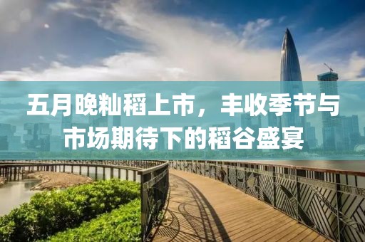 五月晚籼稻上市，丰收季节与市场期待下的稻谷盛宴