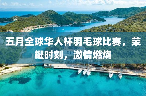 五月全球华人杯羽毛球比赛，荣耀时刻，激情燃烧