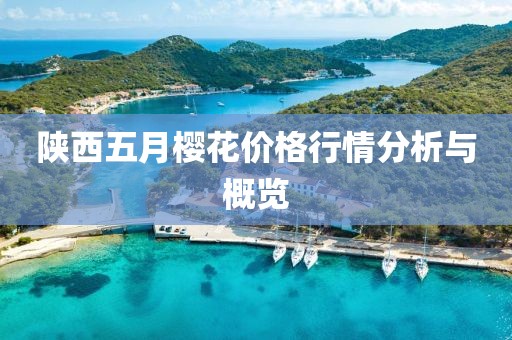 陕西五月樱花价格行情分析与概览