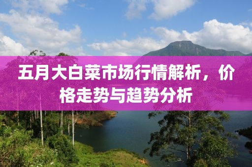 五月大白菜市场行情解析，价格走势与趋势分析