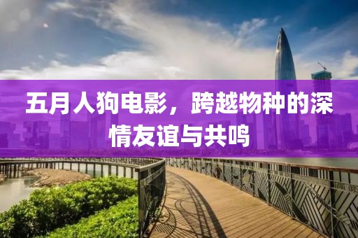 五月人狗电影，跨越物种的深情友谊与共鸣