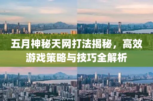 五月神秘天网打法揭秘，高效游戏策略与技巧全解析