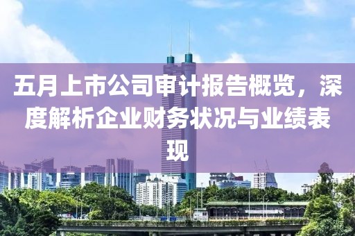 五月上市公司审计报告概览，深度解析企业财务状况与业绩表现