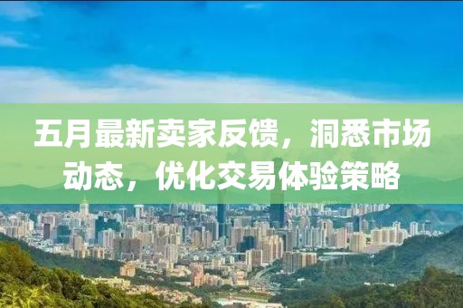 五月最新卖家反馈，洞悉市场动态，优化交易体验策略