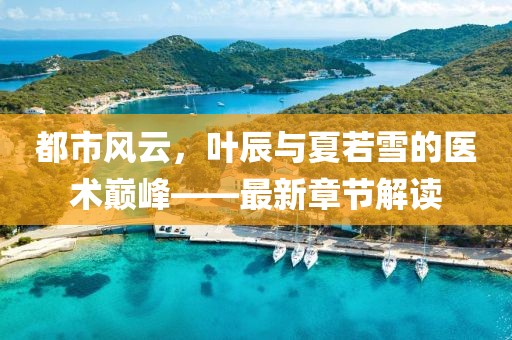 都市风云，叶辰与夏若雪的医术巅峰——最新章节解读