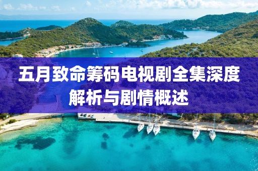 五月致命筹码电视剧全集深度解析与剧情概述