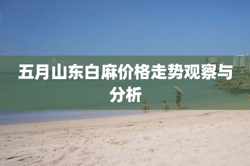 五月山东白麻价格走势观察与分析