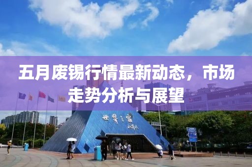 五月废锡行情最新动态，市场走势分析与展望