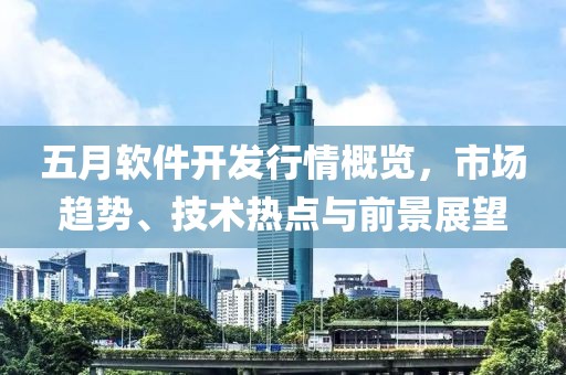 五月软件开发行情概览，市场趋势、技术热点与前景展望