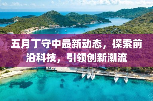 五月丁守中最新动态，探索前沿科技，引领创新潮流