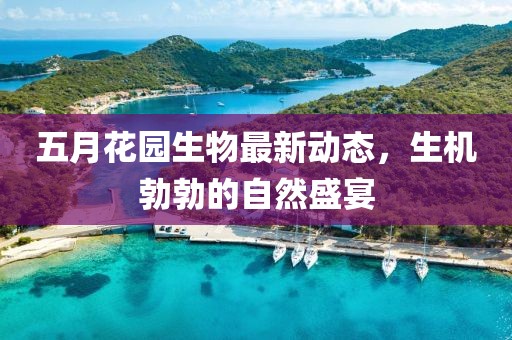 五月花园生物最新动态，生机勃勃的自然盛宴