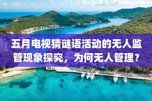 五月电视猜谜语活动的无人监管现象探究，为何无人管理？