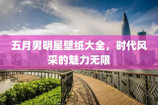 五月男明星壁纸大全，时代风采的魅力无限