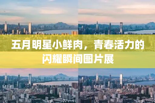 五月明星小鲜肉，青春活力的闪耀瞬间图片展