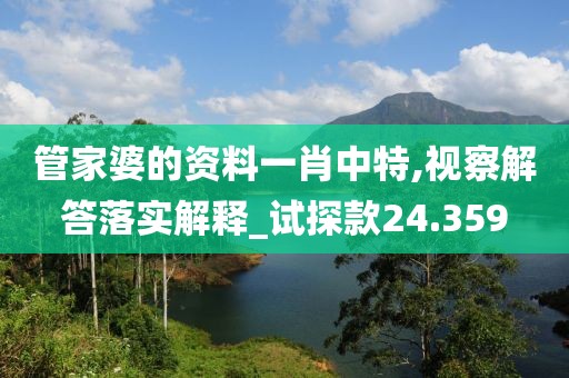 管家婆的资料一肖中特,视察解答落实解释_试探款24.359