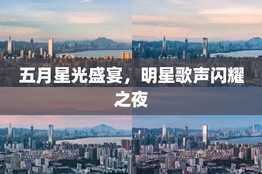 五月星光盛宴，明星歌声闪耀之夜