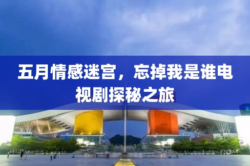 五月情感迷宫，忘掉我是谁电视剧探秘之旅