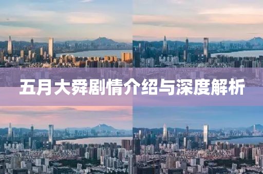 五月大舜剧情介绍与深度解析