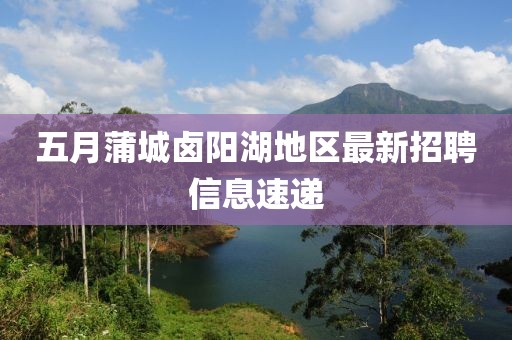 五月蒲城卤阳湖地区最新招聘信息速递