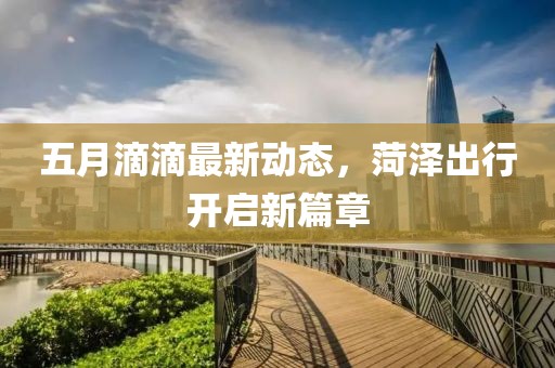 五月滴滴最新动态，菏泽出行开启新篇章