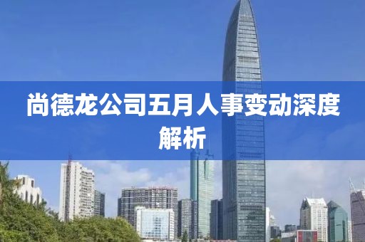 尚德龙公司五月人事变动深度解析