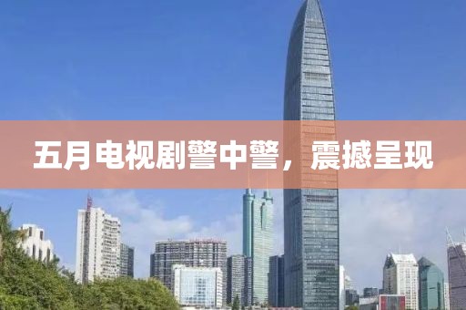 五月电视剧警中警，震撼呈现