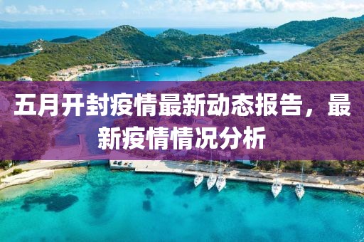 五月开封疫情最新动态报告，最新疫情情况分析