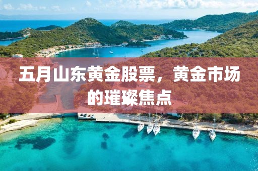 五月山东黄金股票，黄金市场的璀璨焦点