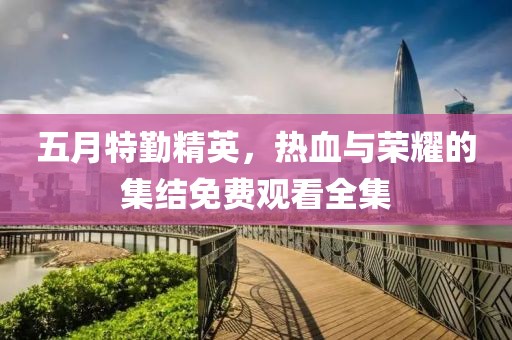 五月特勤精英，热血与荣耀的集结免费观看全集