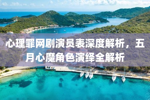 心理罪网剧演员表深度解析，五月心魔角色演绎全解析