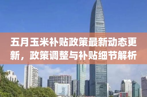 五月玉米补贴政策最新动态更新，政策调整与补贴细节解析