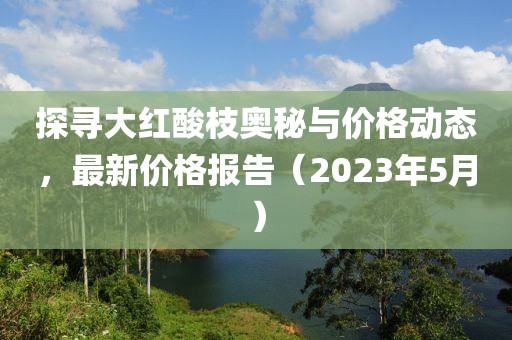 探寻大红酸枝奥秘与价格动态，最新价格报告（2023年5月）