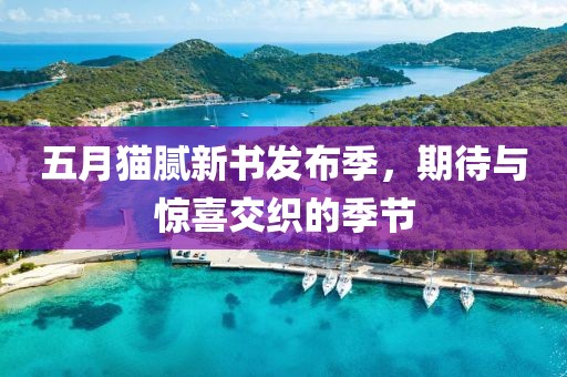 五月猫腻新书发布季，期待与惊喜交织的季节