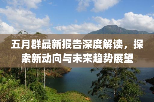 五月群最新报告深度解读，探索新动向与未来趋势展望