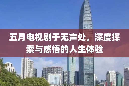 五月电视剧于无声处，深度探索与感悟的人生体验