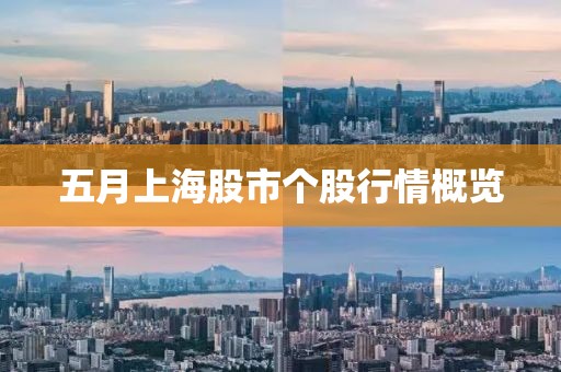五月上海股市个股行情概览