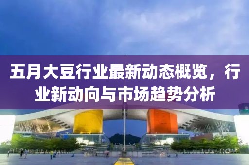五月大豆行业最新动态概览，行业新动向与市场趋势分析