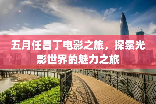 五月任昌丁电影之旅，探索光影世界的魅力之旅