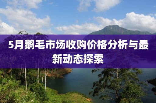 5月鹅毛市场收购价格分析与最新动态探索